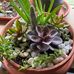 Edna Ginter - Facebook