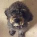 Edna Ginter - Facebook