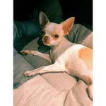 Edna Goffman - @ednagoffman8764 - Instagram