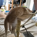 Edna Good - @goodednagood - Instagram
