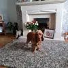 Edna Graham - @edna.graham6 - TikTok