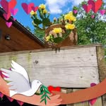 Edna Graham - @edna.graham.3192 - Instagram