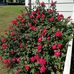 Edna Grant - Facebook