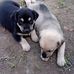 Edna Grant - Facebook