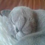 Edna Jones - @ednagrant - Instagram