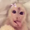 ednagray778 - @ednagray778 - TikTok