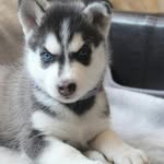 Edna Grey Ringle - @ednaringle1962 - Instagram