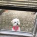 Edna Hahn - Facebook