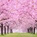 Edna Huynh - Facebook