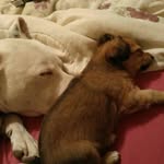 Edna Hall - @edna.hall.125 - Instagram
