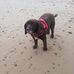 Edna Hall - Facebook