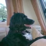 Edna Hall - @edna.hall.94 - Instagram