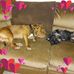 Edna Handzel - Facebook