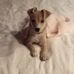 Edna Hardin - Facebook