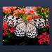 Edna Hardin - Facebook