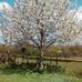 Edna Harding - Facebook