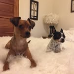 Edna V. & Harley Q. Welch - @ednaharleywelch_ - Instagram