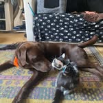 @harley_gary_edna - Instagram