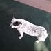 Edna Harwell - Facebook