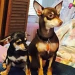 Edna Hauschild - @ednahauschild - Instagram