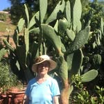 @edna.heatherington - Instagram