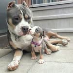 Edna Heather - @ednaheather7 - Instagram