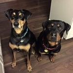 Edna Hicks - @ednahicks78 - Instagram
