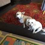Edna Hocking - Facebook