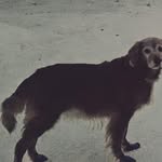 Edna Hofer - @hoferedna - Instagram