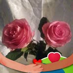 Edna Hofer - Facebook