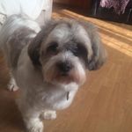 Edna Hogan - @ed.na.oo - Instagram