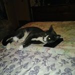 Edna Holmes - @edna.holmes.73 - Instagram