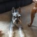 Edna Holt - Facebook