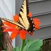 Edna Holt - Facebook