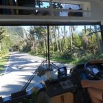 Edna Fuso Southcombe - @edna_house_bus - Instagram