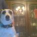 Edna House - Facebook