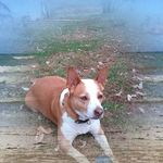 Edna Howell - @edna.howell.716 - Instagram