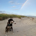 Edna Gonzalez-Huff - @edsdogz - Instagram