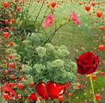 Edna Huffman - Facebook