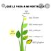 Edna, Jacob Pezzatini Corp - Facebook