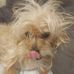 Edna Jaime - Facebook