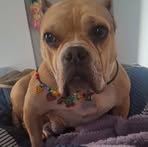 Edna Jasso - Facebook