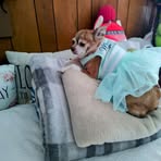 Edna Jenkins - Facebook