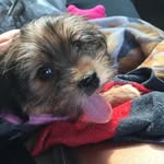 Edna Jenkins - @edna_jinkins - Instagram
