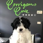 Edna Johns - @ednaatcorrigans - Instagram