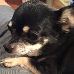 Edna Klein Schattman - @eschattman - Instagram