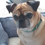 Edna Lawson - @ednalawson67 - Instagram