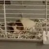 edna_okunevalawson30 - @edna_okunevalawso - TikTok