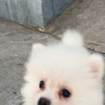 Edna Leong - @blubaru18 - Instagram