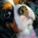 Edna Lerner - @edna.lerner.378 - Instagram